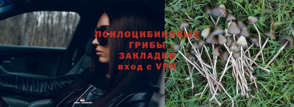 а пвп мука Балахна